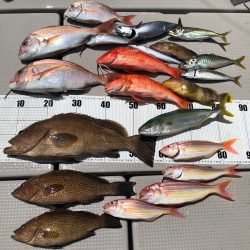 SLJ &タイラバ。リレーで多種の…