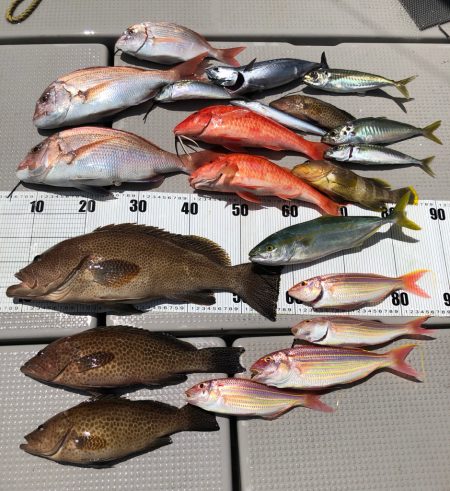 SLJ &タイラバ。リレーで多種の…