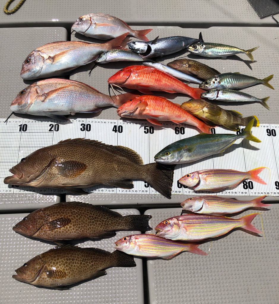 SLJ &タイラバ。リレーで多種の引き！