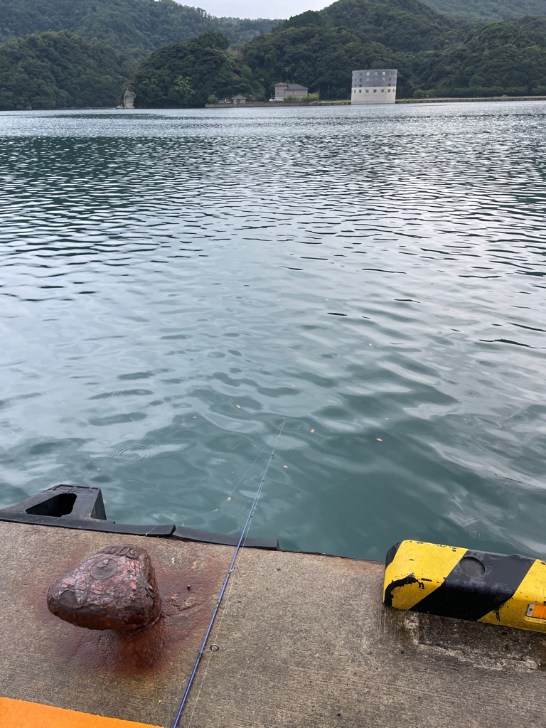 豆アジはたくさん釣れるけど、、、
