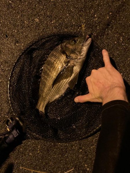 トリプルクロスでチニング大勝利！