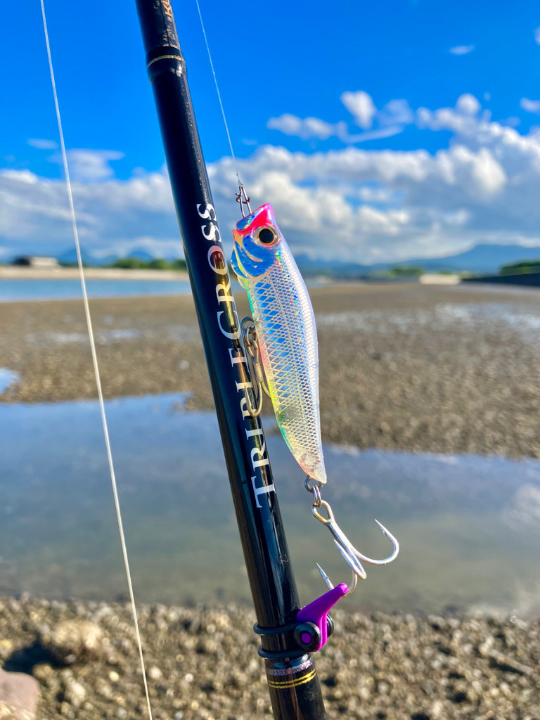 ランガントップチニング