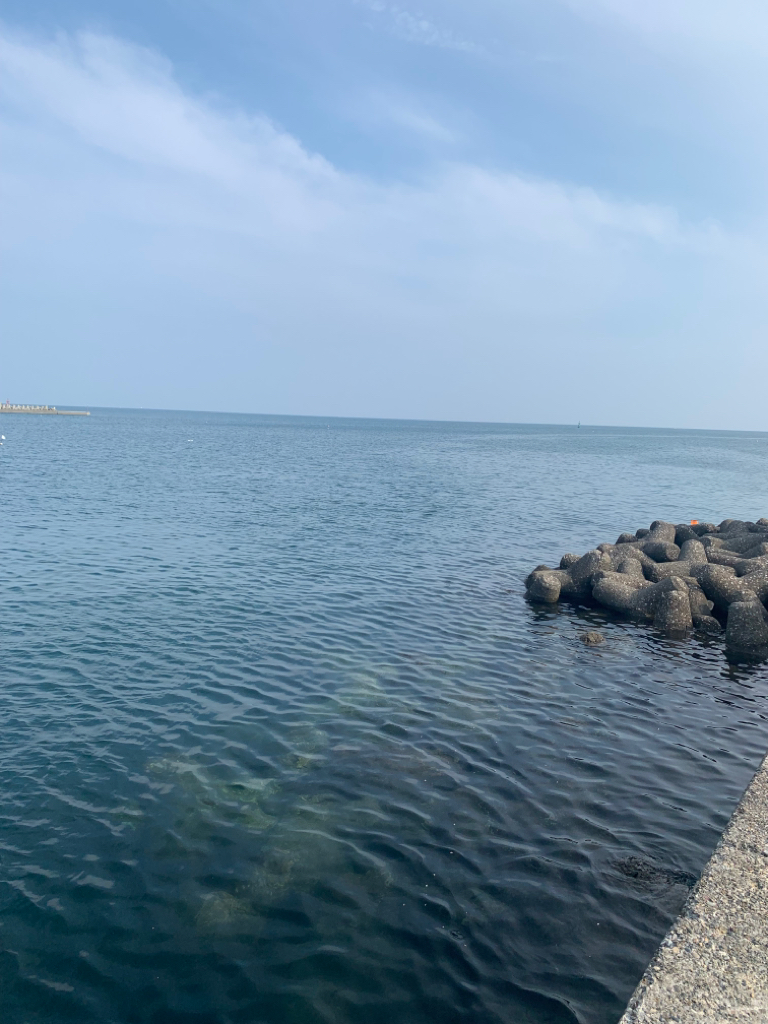 夏のフカセ釣り