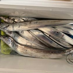 タチウオジギング