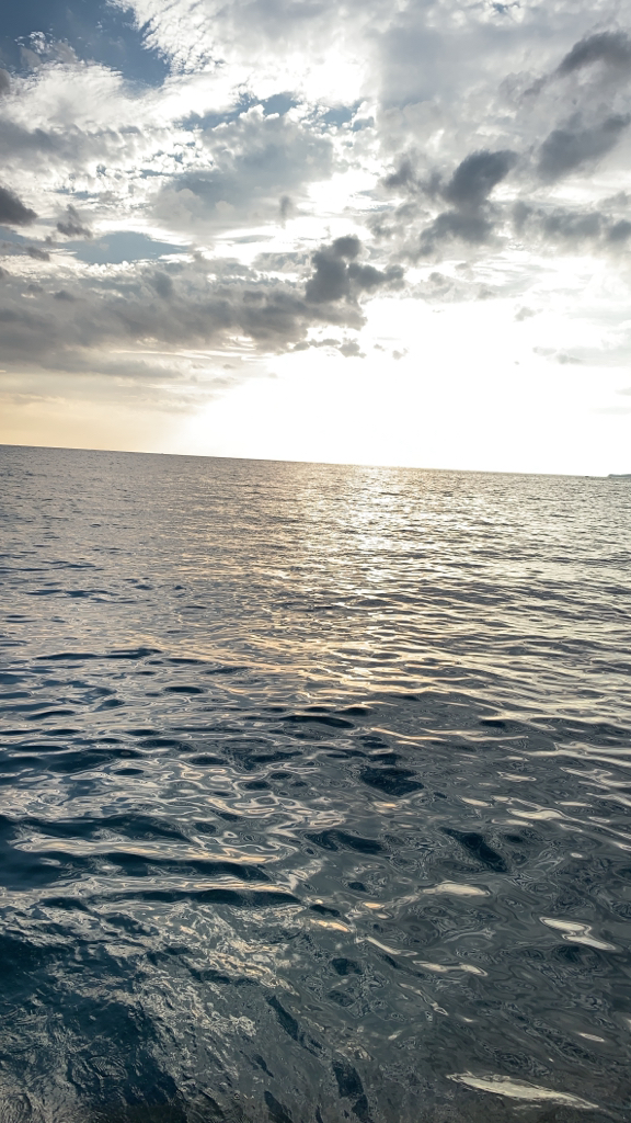 夏の磯は餌取りパラダイス