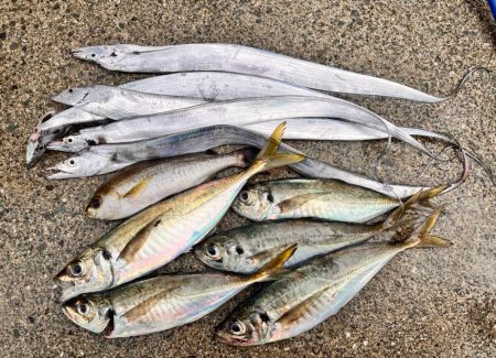 ジギングとサビキ