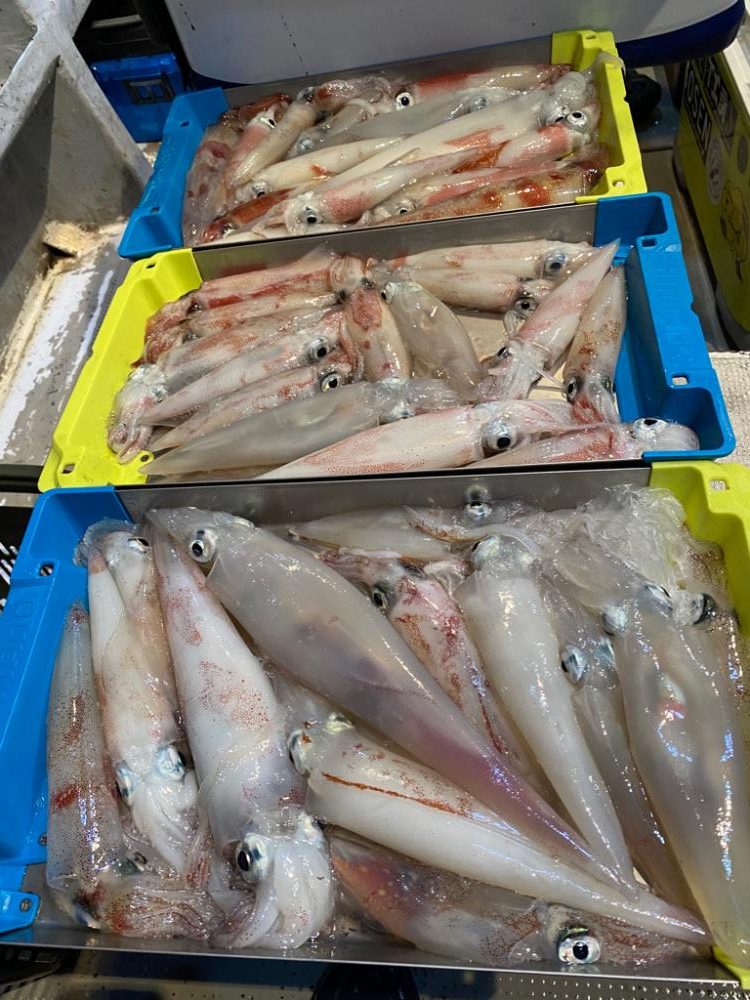 小浜でイカメタル