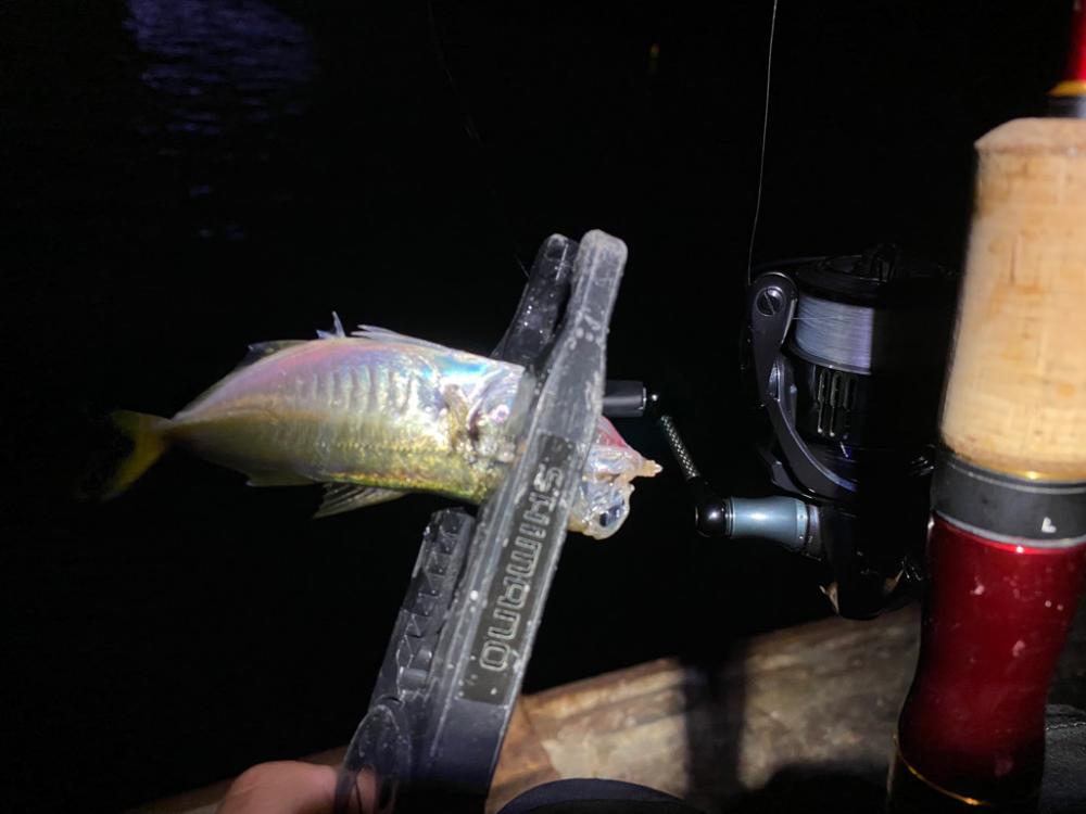 大阪府ライトゲーム