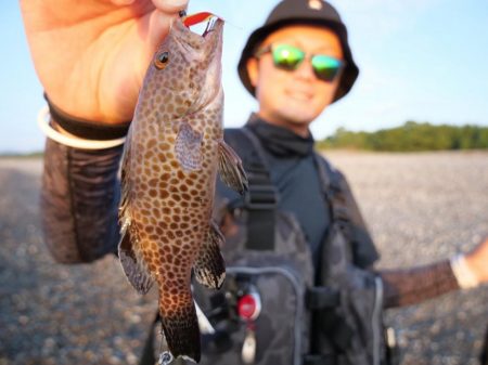 三重県・七里御浜で夏のサーフショアジギング!