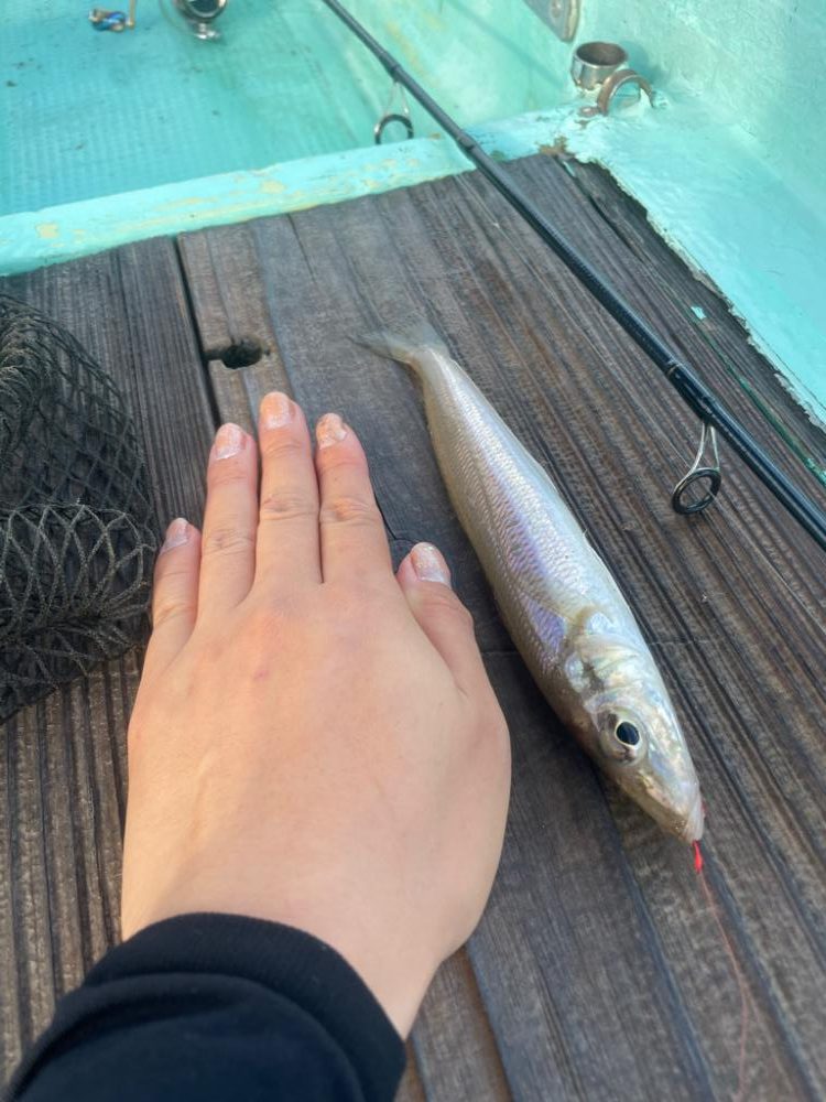 ボートでキス釣り