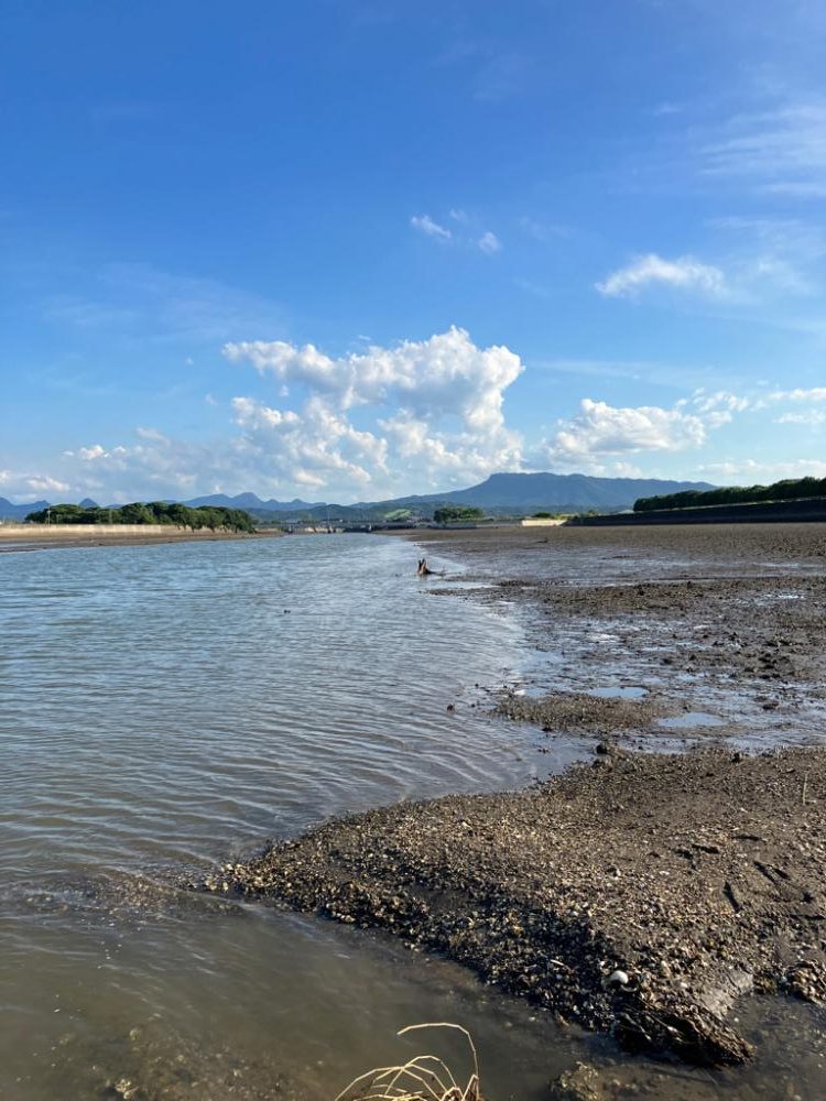 デイトップチニング