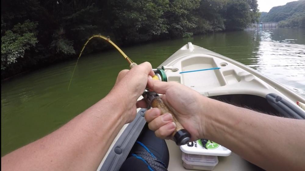 カヤック２回目！