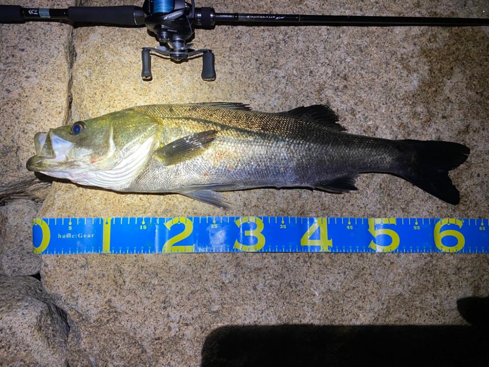 淀川ブリームゲーム ランカーまでもう少し