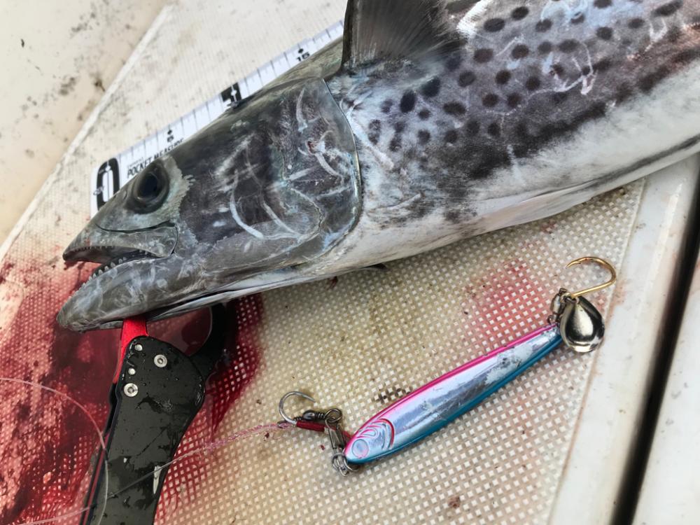 海は玉手箱❗️