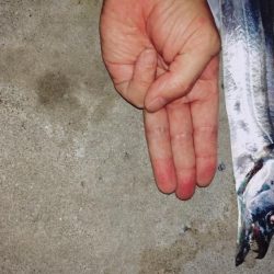 今年の初タチウオ!