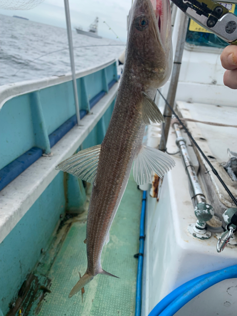 アジ釣るのは苦手です。