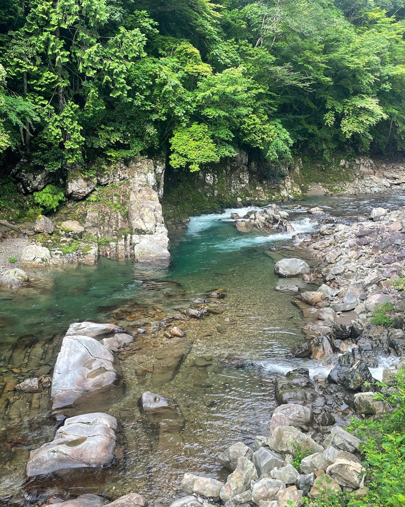 十津川村　鮎釣り