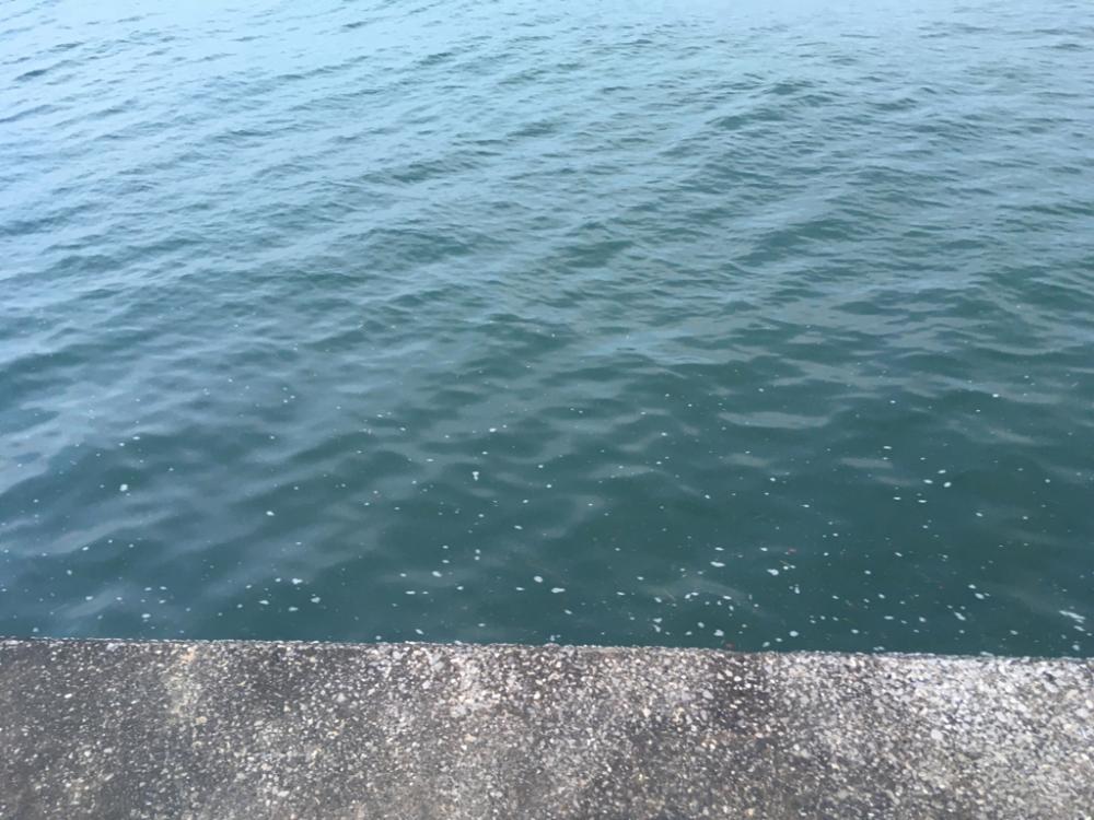 柊　柊　柊　柊