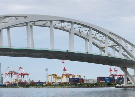 サバ、カタクチイワシで賑やかです!