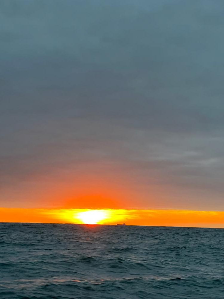 銚子沖、根魚五目