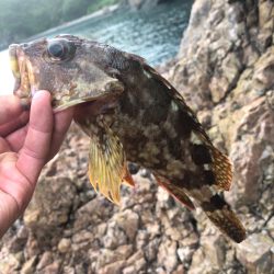 ちょこっとフィッシング