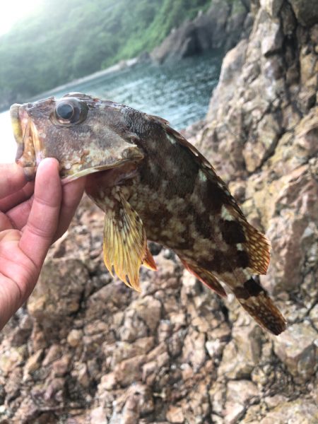 ちょこっとフィッシング