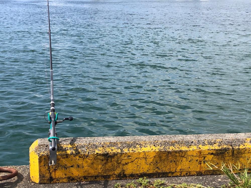 トリックサビキからの泳がせ