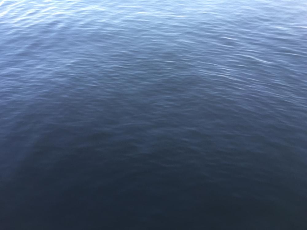 ファミリーフィッシング　イン　サマー