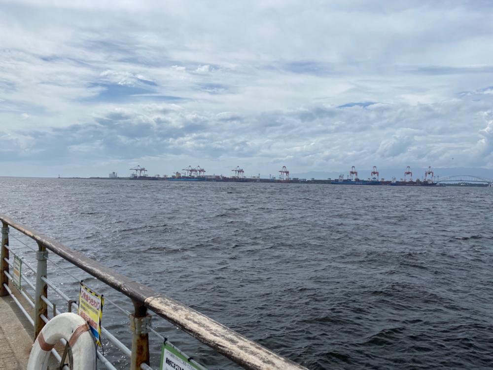 ジギングでサバ2匹