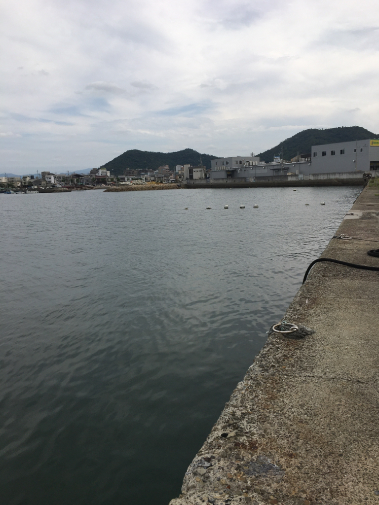 久しぶりに釣れた!