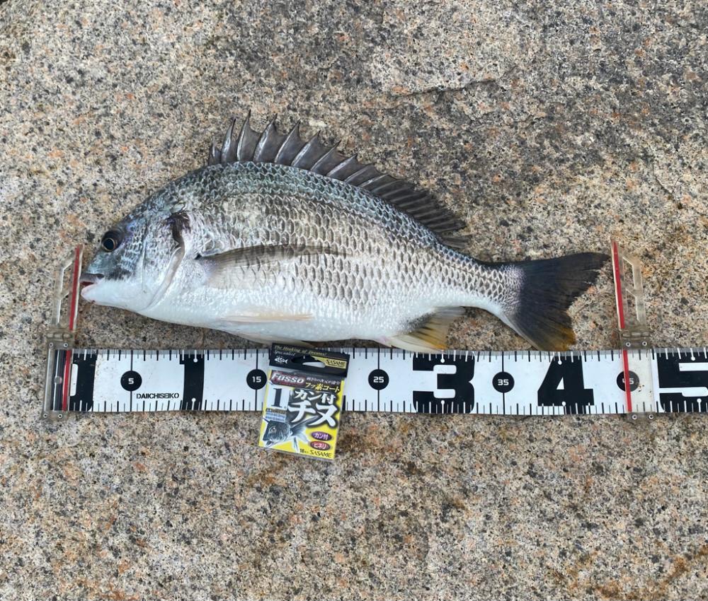 少し気温が下がり