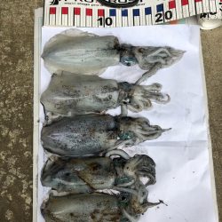 コロッケあがりました