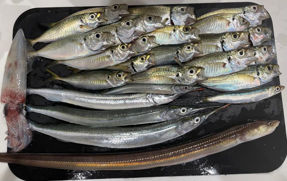 いろいろ五目釣り