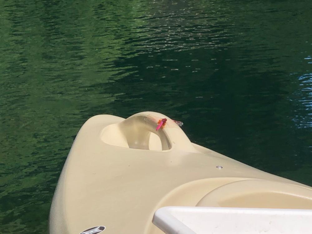 ロケーション最高なダム❣️