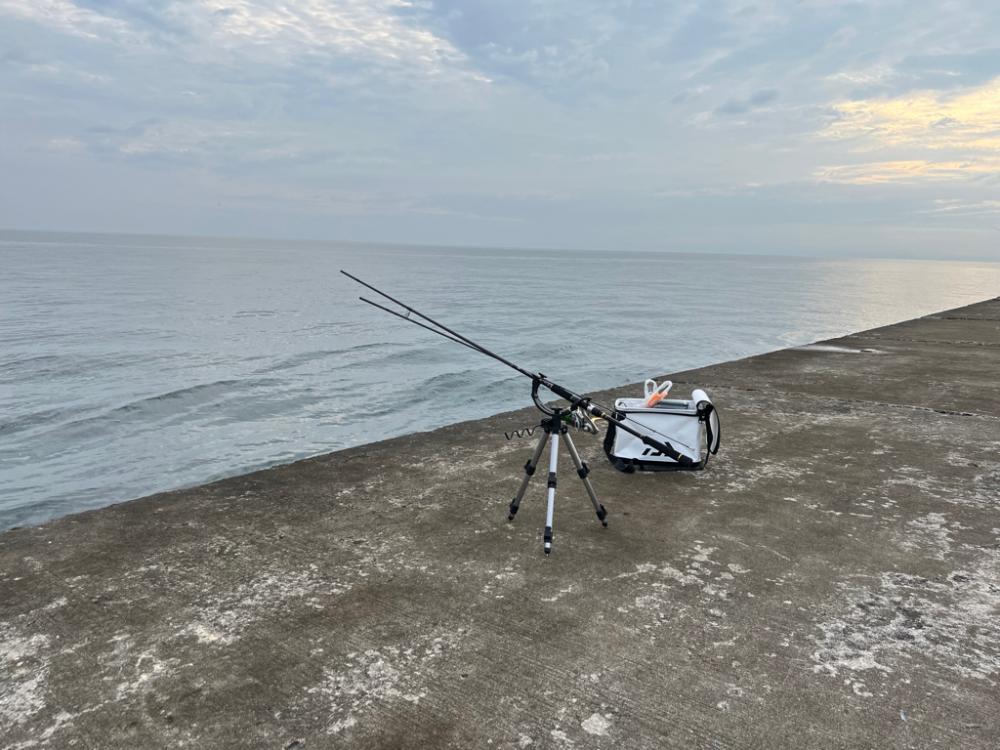 渋い日でした。