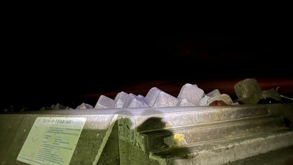 和歌山太刀魚調査