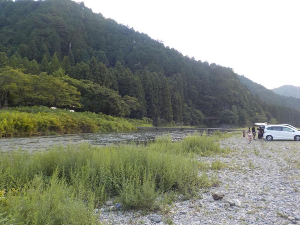 美山鮎9 高水・ささ濁りでも釣れる