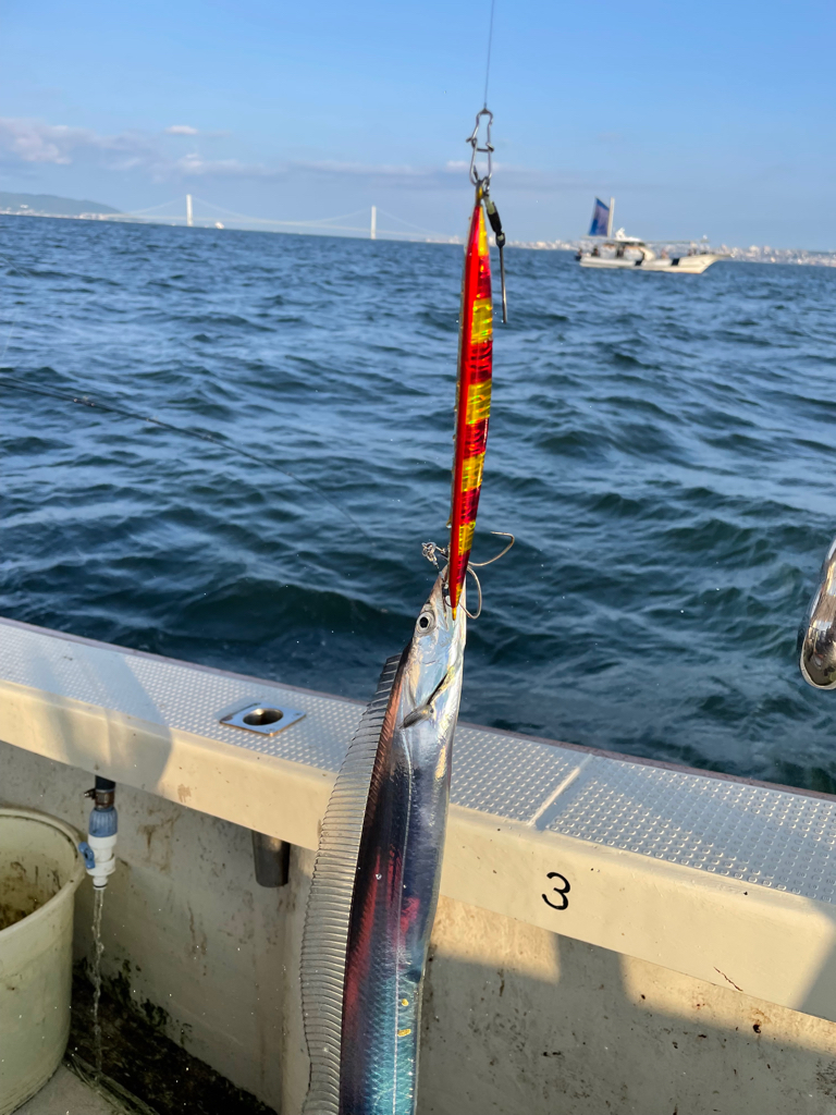 須磨沖タチウオジギング