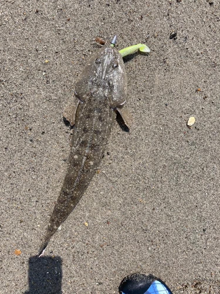 サーフ五目釣り