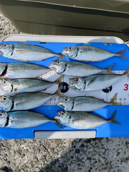 ぼちぼちサイズUP