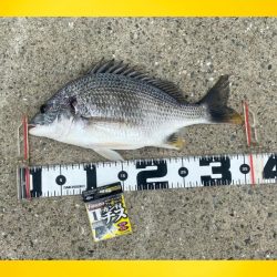 小型を釣りながら良い型を目指し