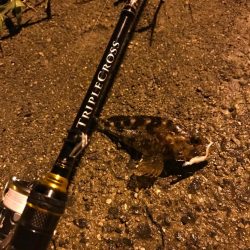 涼しい早朝にトリプルクロスでライトロック！