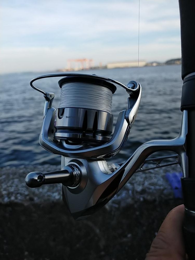 新小の太刀の季節