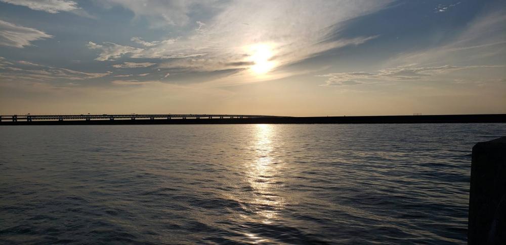 アジ探し@佐野漁港