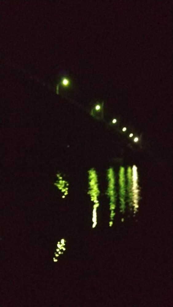 日高川チャレンジ