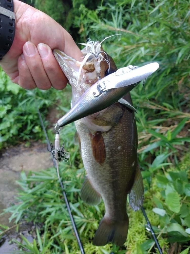 ちょうど良い雨