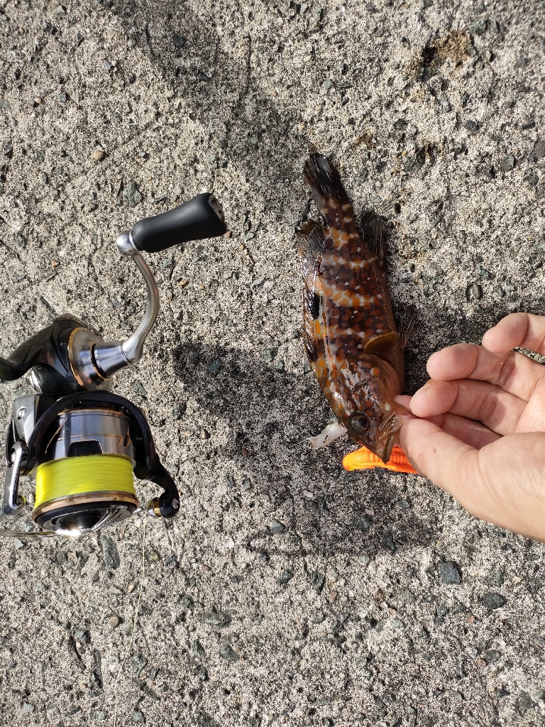 いつもの浜田港にて