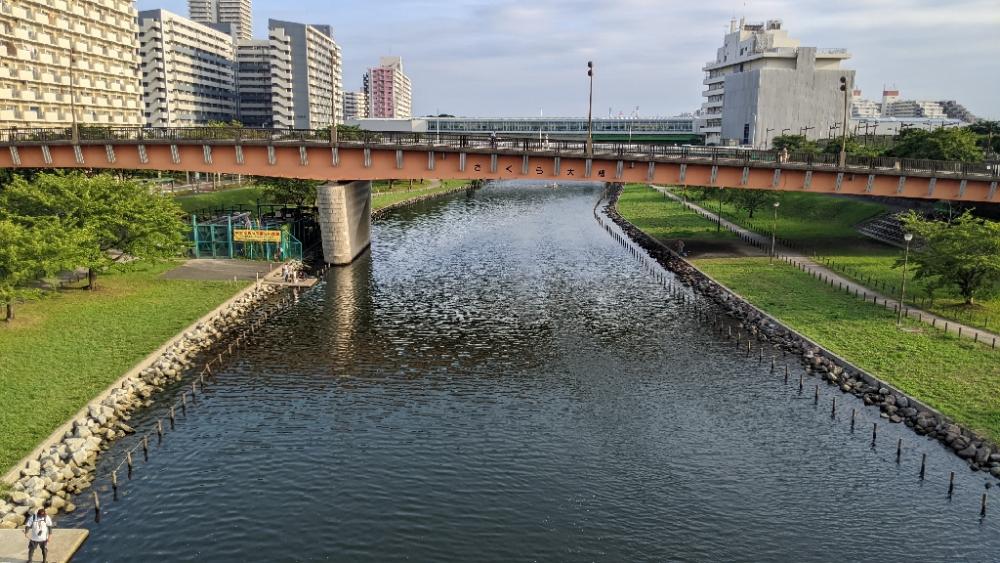 旧中川ハゼ 変化