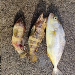 いつもの浜田港にて