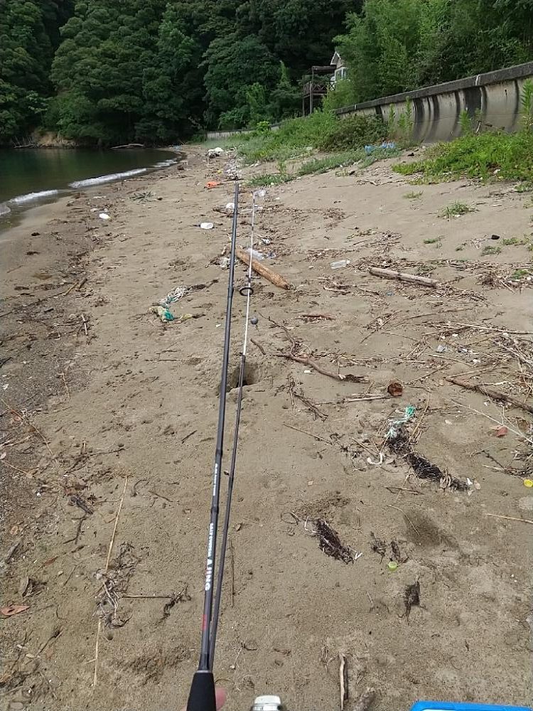 キス釣りの珍客